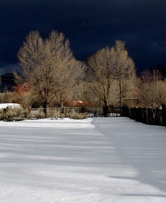 winterafternoon-500-5213922