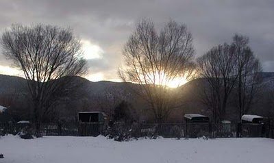 1-23-10-6x12_500-3660304