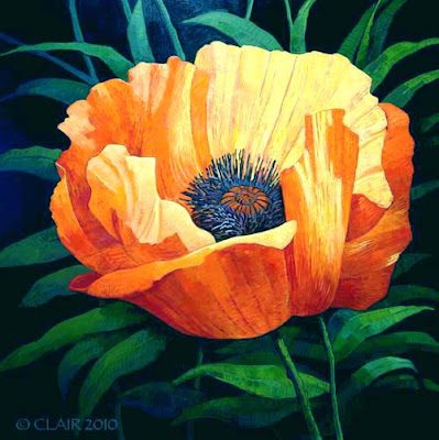 111cprfinpoppylovegrande_500-4598183