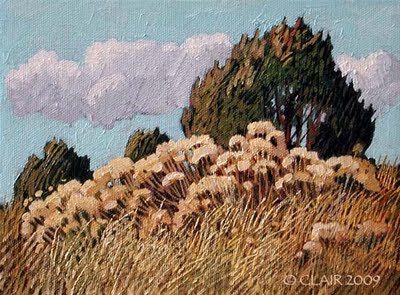 4609fncprchamisaaft_500-6328226