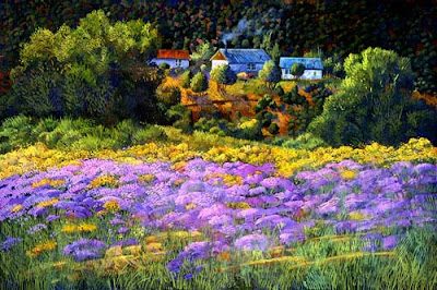 61_wildastersatpicuris_500-7881142