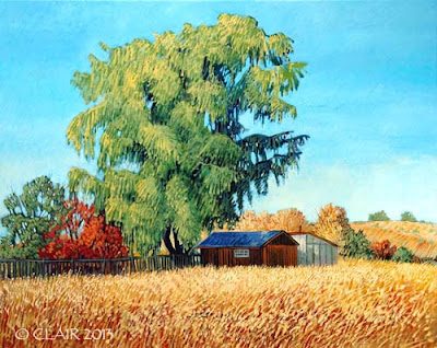 413fncpr_ranchitospastoral_500-4764292