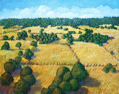 1313cfn_llanosanjuan_500-7397791