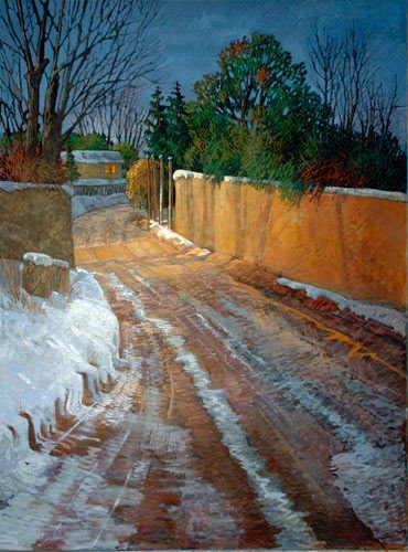 214c_lg_fin-winterlight_500-6732132