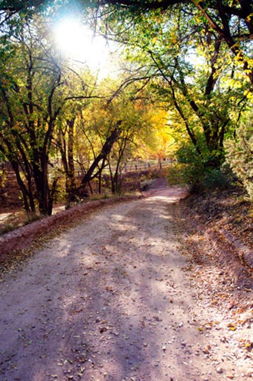 tesuqueb_103014-3270979