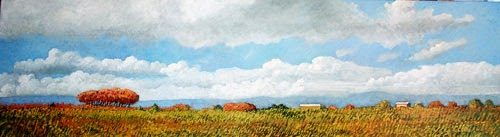 115fn_nubesdtruchas_500-3994221