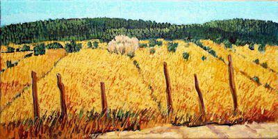 2017fn_camposdllano2529500-8504128