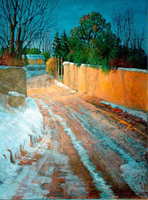 214c_lg_fin-winterlight_500-3408706