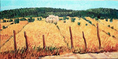 2017fn_camposdllano_1600-4954202