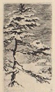 snowtree_500-5751182