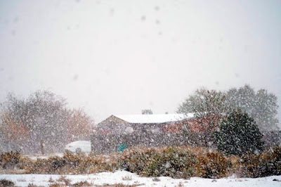snow_500-8199641