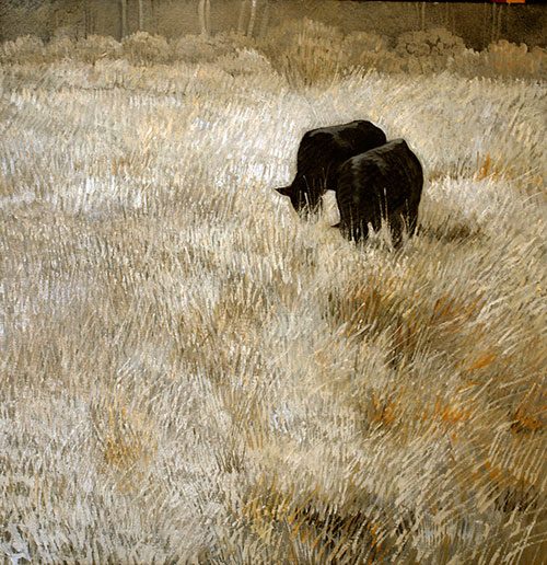 2359_twocows_500-3088822