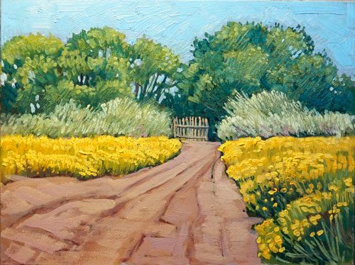 1723_rainysummerdaisies_500-5970187